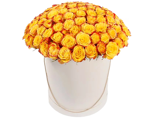 Флорида