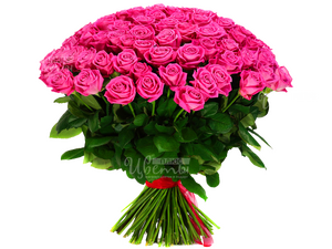 Мисс Бьюти
