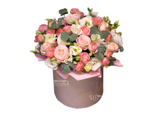 Цветные сны